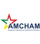 AMCHAM-Logo-2